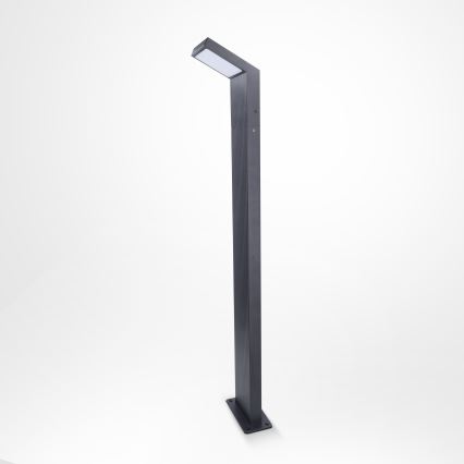 Brilagi - RIANO LED-Außenleuchte LED/8W/230V Anthrazit IP65