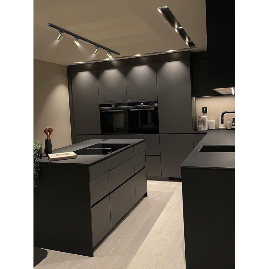 Brilagi - Schienen-Spot HUSKY 4xGU10/10W/230V schwarz/gold