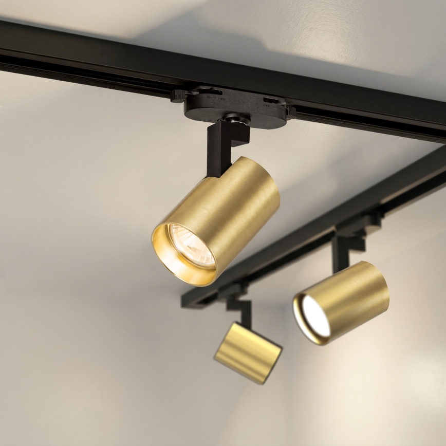 Brilagi - Schienen-Spot HUSKY 4xGU10/10W/230V schwarz/gold