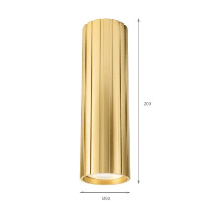 Brilagi - Spotleuchte CRISPINA 1xGU10/10W/230V 20 cm goldfarben