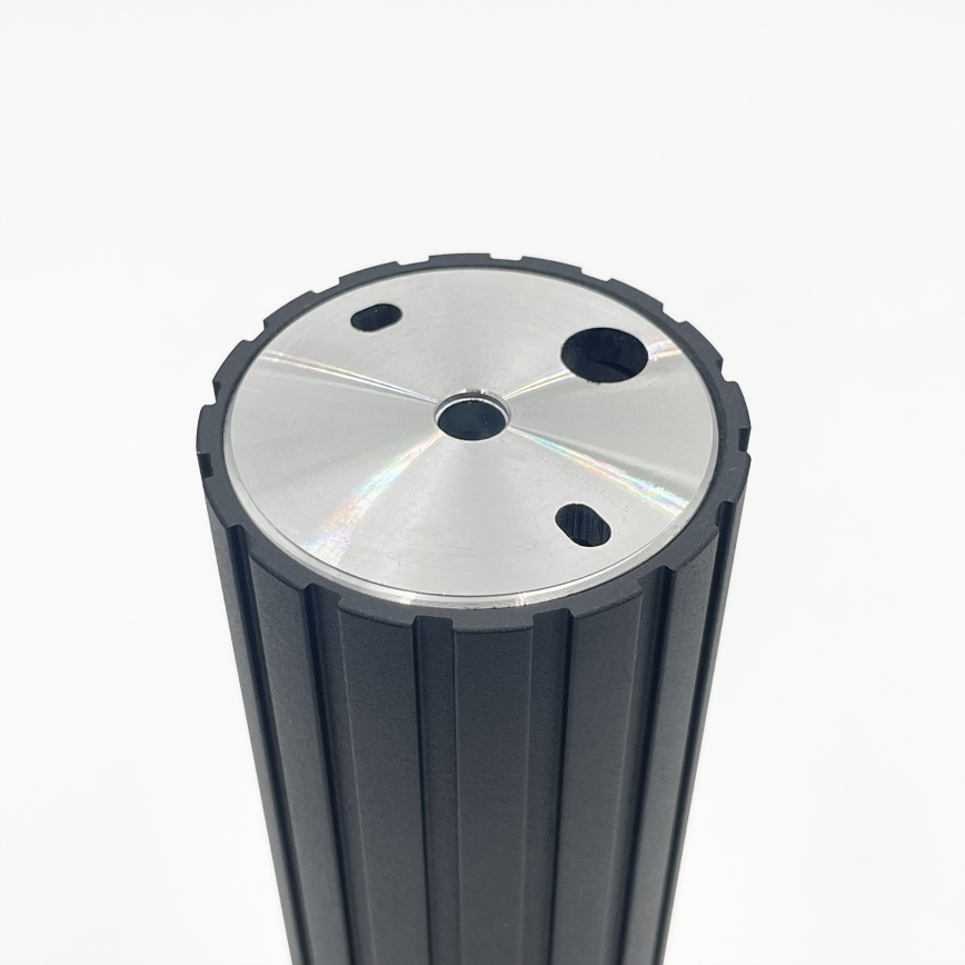 Brilagi - Spotleuchte CRISPINA 1xGU10/10W/230V 20 cm schwarz