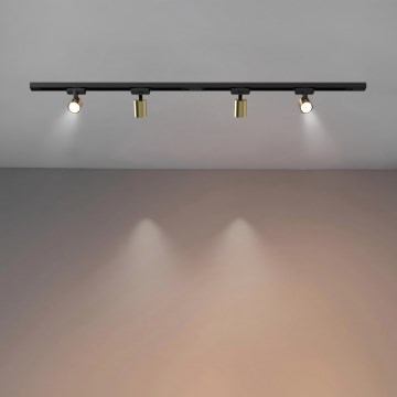 Brilagi - Spotleuchte für Schienensystem HUSKY 4xGU10/10W/230V schwarz/gold