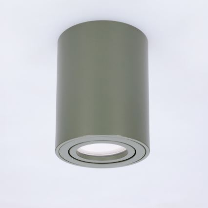 BRILAGI - Spotleuchte MIA 1xGU10/30W/230V 100x80 mm dunkelgrün