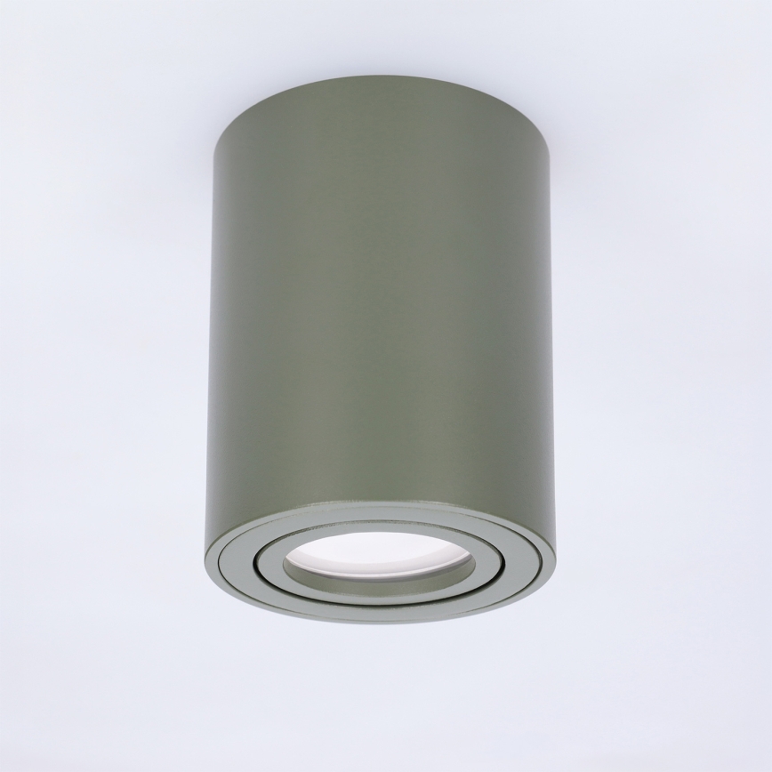 BRILAGI - Spotleuchte MIA 1xGU10/30W/230V 100x80 mm dunkelgrün