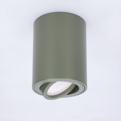 BRILAGI - Spotleuchte MIA 1xGU10/30W/230V 100x80 mm dunkelgrün