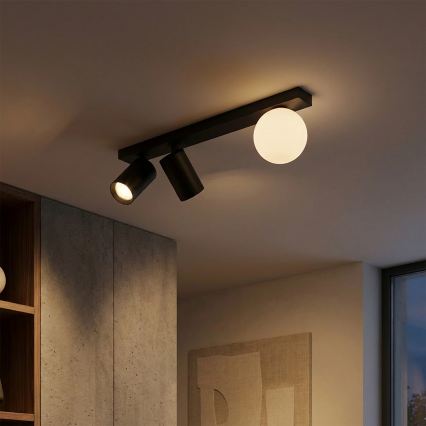 Brilagi - Spotleuchte SELE BALL 2xGU10/30W/230V + 1xG9/10W, schwarz