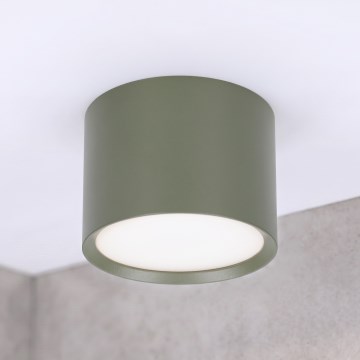 BRILAGI - Spotleuchte SMOOTH 1xGX53/15W/230V 60x82 mm dunkelgrün