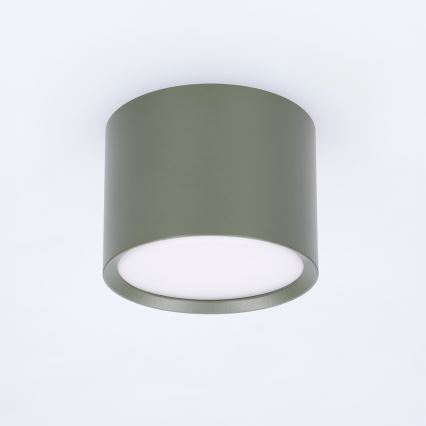 BRILAGI - Spotleuchte SMOOTH 1xGX53/15W/230V 60x82 mm dunkelgrün
