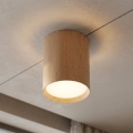 BRILAGI - Spotleuchte SMOOTH LONG 1xGX53/15W/230V 100x82 mm Eichen-Dekor
