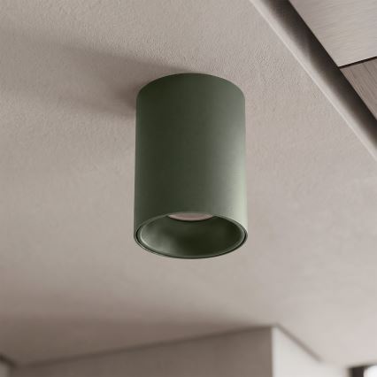 BRILAGI - Spotleuchte TRINE 1xGU10/30W/230V dunkelgrün