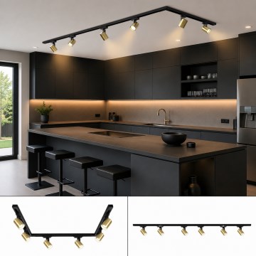 Brilagi - Strahler im Schienensystem HUSKY 6xGU10/10W/230V schwarz/gold