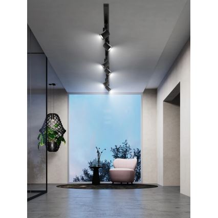 Brilagi - Strahler im Schienensystem HUSKY 6xGU10/10W/230V schwarz