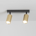 BRILAGI - Strahler SELE GOLDEN 2xGU10/30W/230V schwarz/golden
