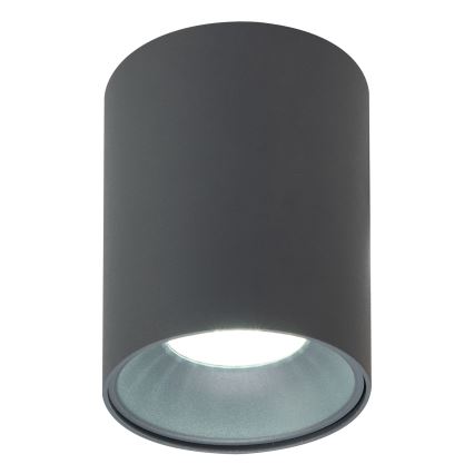 Brilagi - Strahler TRINE 1xGU10/30W/230V anthrazit