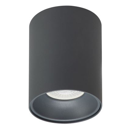 Brilagi - Strahler TRINE 1xGU10/30W/230V anthrazit
