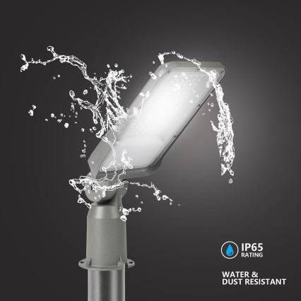 Brilagi - LED-Straßenleuchte für den Außenbereich mit Gelenk URBANLIGHT LED/50W/230V grau IP65