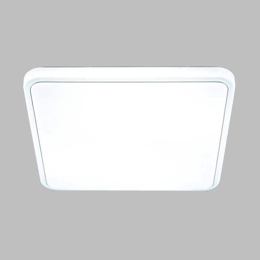 Brilliant - Dimmbare LED Badeleuchte NAVINO LED/36W/230V IP44 + Fernbedienung