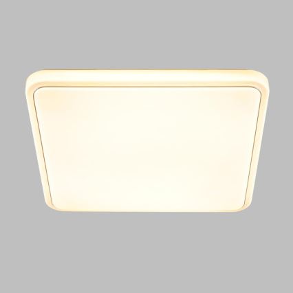 Brilliant - Dimmbare LED Badeleuchte NAVINO LED/36W/230V IP44 + Fernbedienung