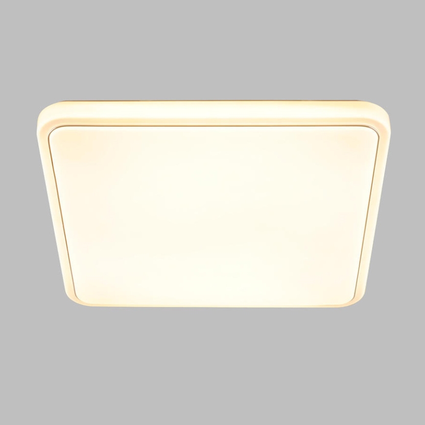 Brilliant - Dimmbare LED Badeleuchte NAVINO LED/36W/230V IP44 + Fernbedienung
