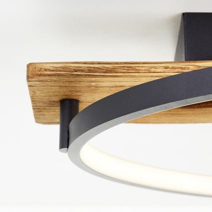 Brilliant - LED-dimmbare Deckenleuchte PIRUS LED/30W/230V 30x70 cm Gummibaumholz
