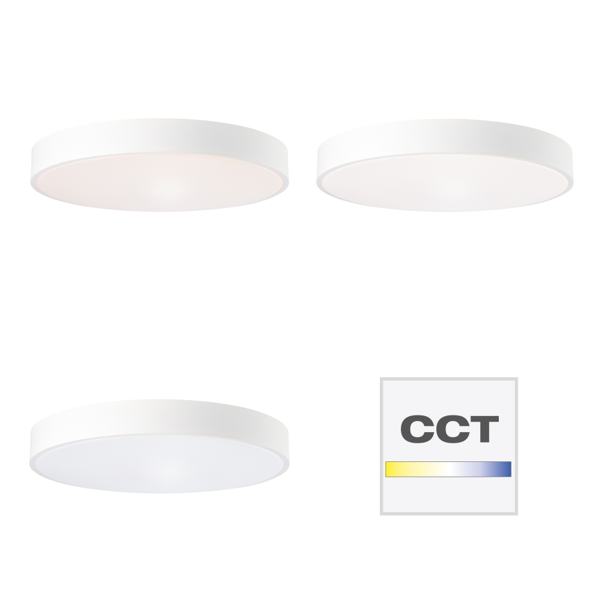 Brilliant - LED-dimmbare Deckenleuchte SLIMLINE LED/60W/230V 3000-6500K Ø 49 cm weiß + Fernbedienung