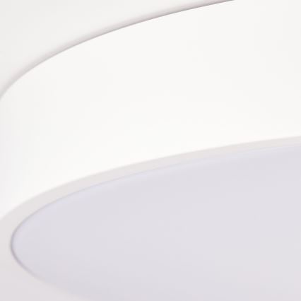 Brilliant - LED-dimmbare Deckenleuchte SLIMLINE LED/60W/230V 3000-6500K Ø 49 cm weiß + Fernbedienung