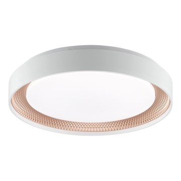 Brilliant - dimmbare LED-Deckenleuchte WALDO LED/24W/230V 3000-6500K Ø 38,5 cm weiß/roségold + Fernbedienung