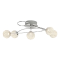 Brilliant - LED-Aufbauleuchte DAJANA 5xLED/4,8W/230V 3000K