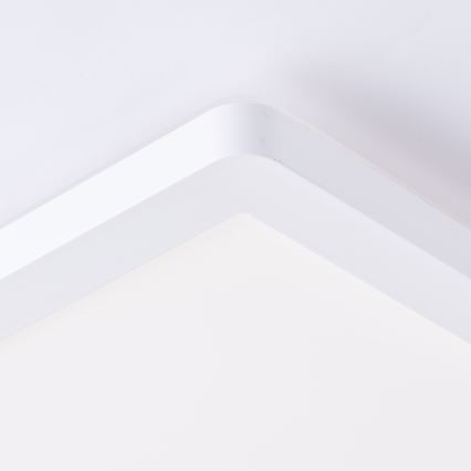 Brilliant - LED Deckenleuchte MILTON LED/24W/230V 42x42 cm weiß