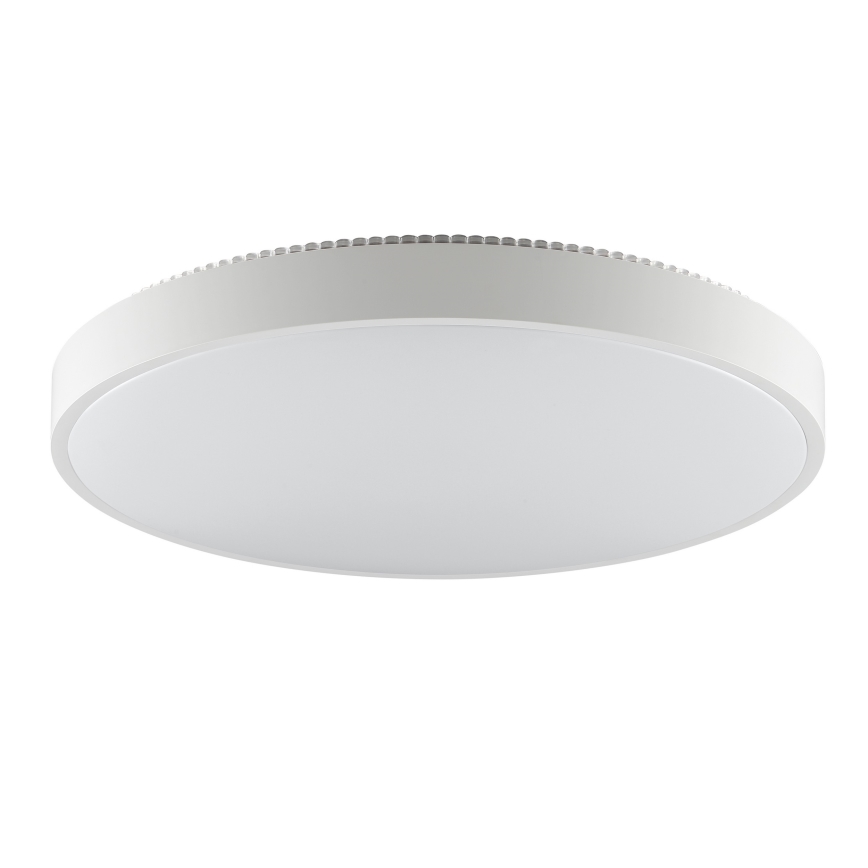 Brilliant - LED-Deckenleuchte SOLISTRA LED/36W/230V Ø 54 cm weiß