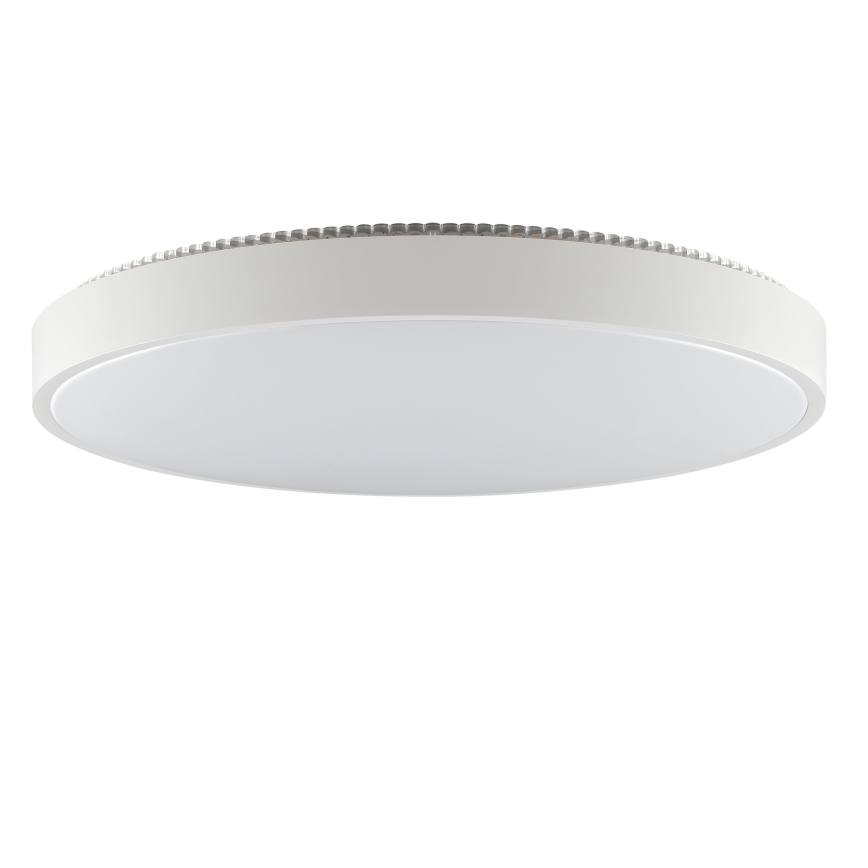 Brilliant - LED-Deckenleuchte SOLISTRA LED/36W/230V Ø 54 cm weiß