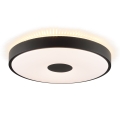 Brilliant - LED Deckenleuchte TAVIS LED/24W/230V Ø 44,5 cm schwarz