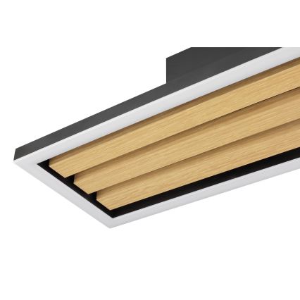 Brilliant - LED-dimmbare Deckenleuchte CALMA LED/15W/230V schwarz