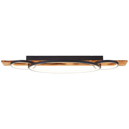 Brilliant - LED-dimmbare Deckenleuchte PIRUS LED/40W/230V 30x90 cm Gummibaumholz