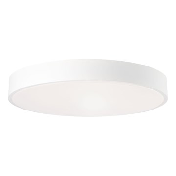 Brilliant - LED-dimmbare Deckenleuchte SLIMLINE LED/60W/230V 3000-6500K Ø 49 cm weiß + Fernbedienung