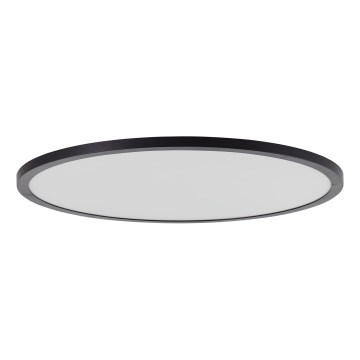 Brilliant - LED-dimmbare Deckenleuchte TUCO LED/33W/230V 3000-6500K Ø 50 cm schwarz + Fernbedienung