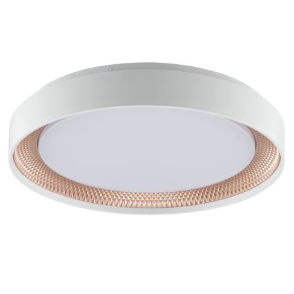 Brilliant - dimmbare LED-Deckenleuchte WALDO LED/24W/230V 3000-6500K Ø 38,5 cm weiß/roségold + Fernbedienung
