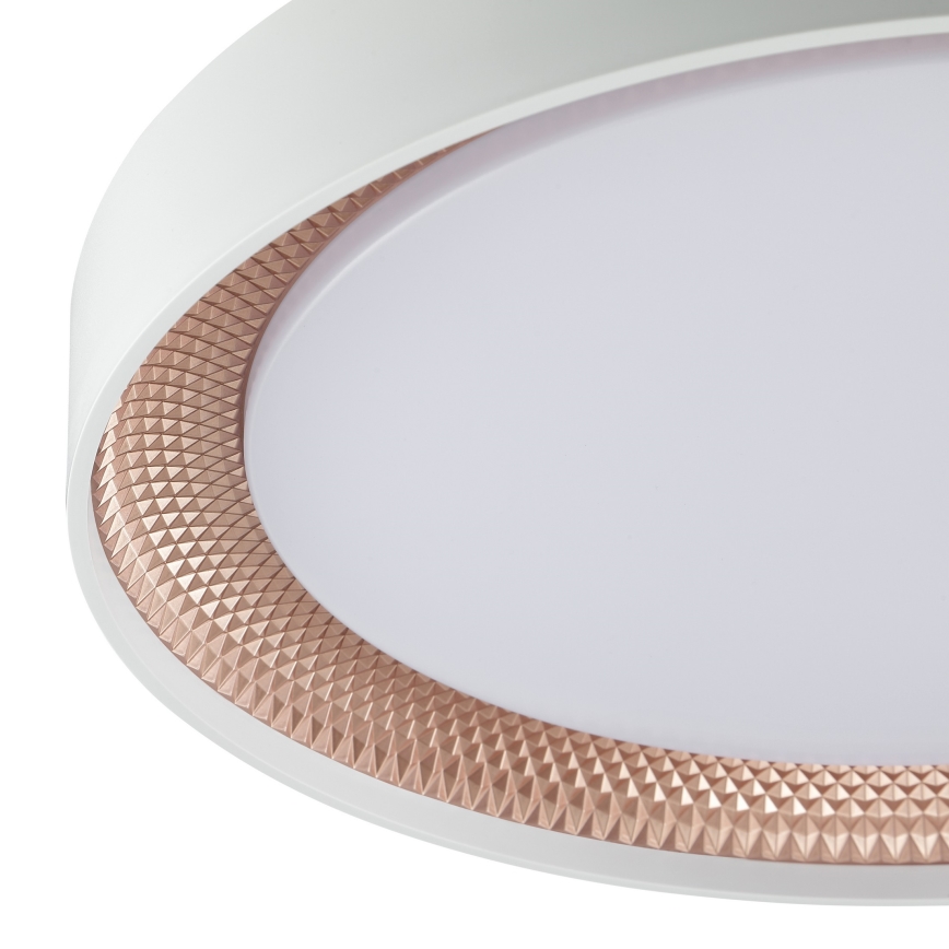 Brilliant - dimmbare LED-Deckenleuchte WALDO LED/24W/230V 3000-6500K Ø 38,5 cm weiß/roségold + Fernbedienung