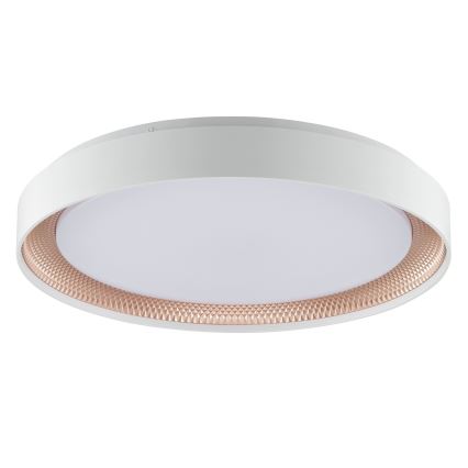 Brilliant - Dimmbare LED-Deckenleuchte WALDO LED/36W/230V 3000-6500K Ø 48,5 cm weiß/roségold + Fernbedienung