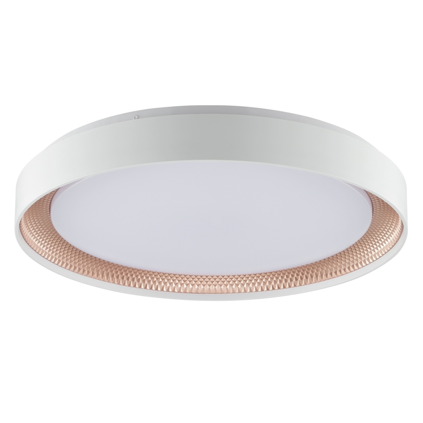 Brilliant - Dimmbare LED-Deckenleuchte WALDO LED/36W/230V 3000-6500K Ø 48,5 cm weiß/roségold + Fernbedienung