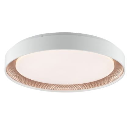 Brilliant - Dimmbare LED-Deckenleuchte WALDO LED/36W/230V 3000-6500K Ø 48,5 cm weiß/roségold + Fernbedienung