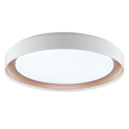 Brilliant - Dimmbare LED-Deckenleuchte WALDO LED/36W/230V 3000-6500K Ø 48,5 cm weiß/roségold + Fernbedienung
