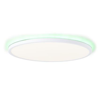 Brilliant - LED RGBW dimmbare Deckenleuchte SALTERY LED/22W/230V 3000-6500K + Fernbedienung
