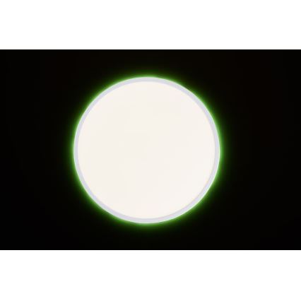 Brilliant - LED RGBW dimmbare Deckenleuchte SALTERY LED/22W/230V 3000-6500K + Fernbedienung