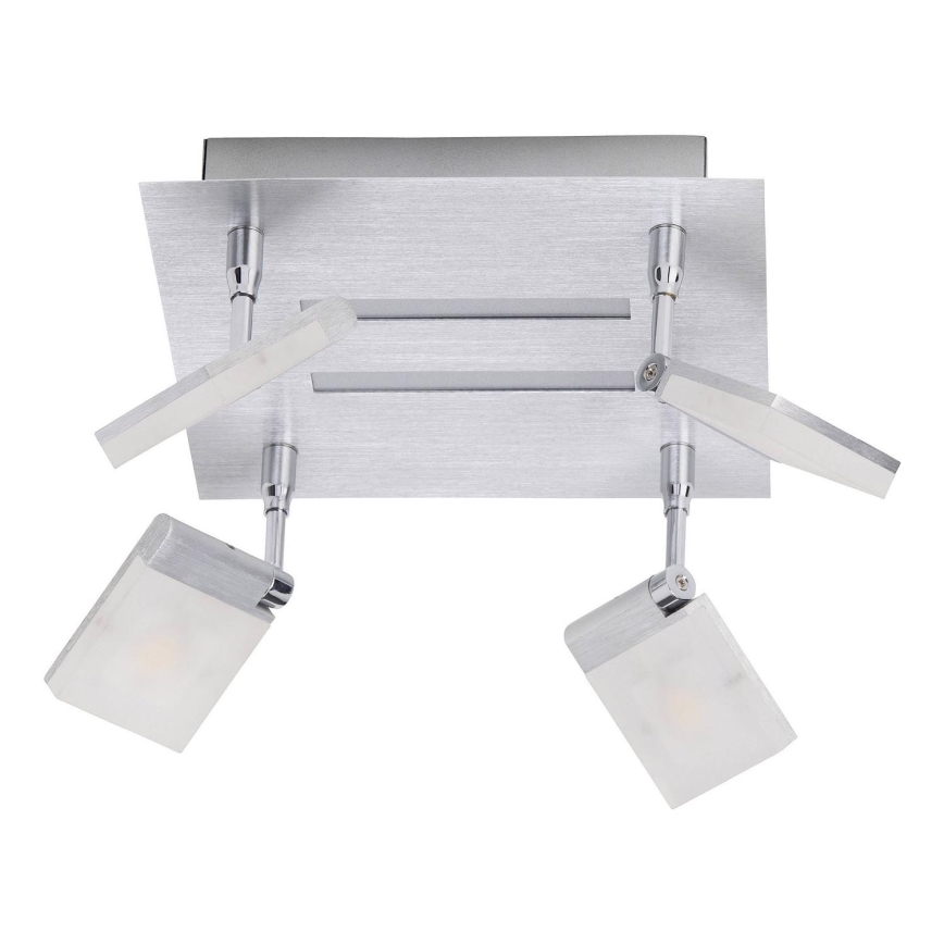 Brilliant - LED Spotlight PLAXICO 4xLED/6W/230V