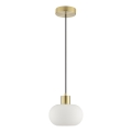 Brilliant - Pendelleuchte FANNY mit Kabel 1xE27/20W/230V Ø 22 cm Messing