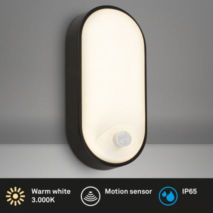 Brilo - LED-Außenwandleuchte mit Bewegungs- und Dämmerungssensor RUCH LED/12W/230V IP65 schwarz