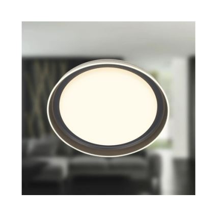 Brilo - LED-Deckenleuchte IJUS LED/24W/230V 3000K Ø 43 cm