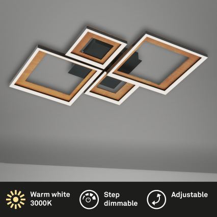 Brilo - LED dimmbare Deckenleuchte FRAME LED/38W/230V