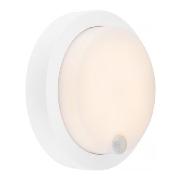 Brilo - LED wiederaufladbare Außenwandleuchte mit Sensor LED/4W/5V 4400 mAh IP44 weiß